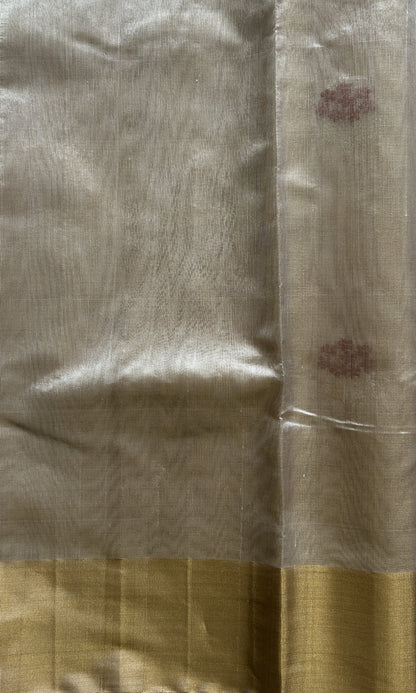 Chanderi Silk Saree Gold color Elegantly Paired with a Gold Zari border - Sampradaya Designer Studio