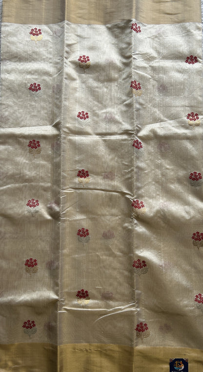 Chanderi Silk Saree Gold color Elegantly Paired with a Gold Zari border - Sampradaya Designer Studio