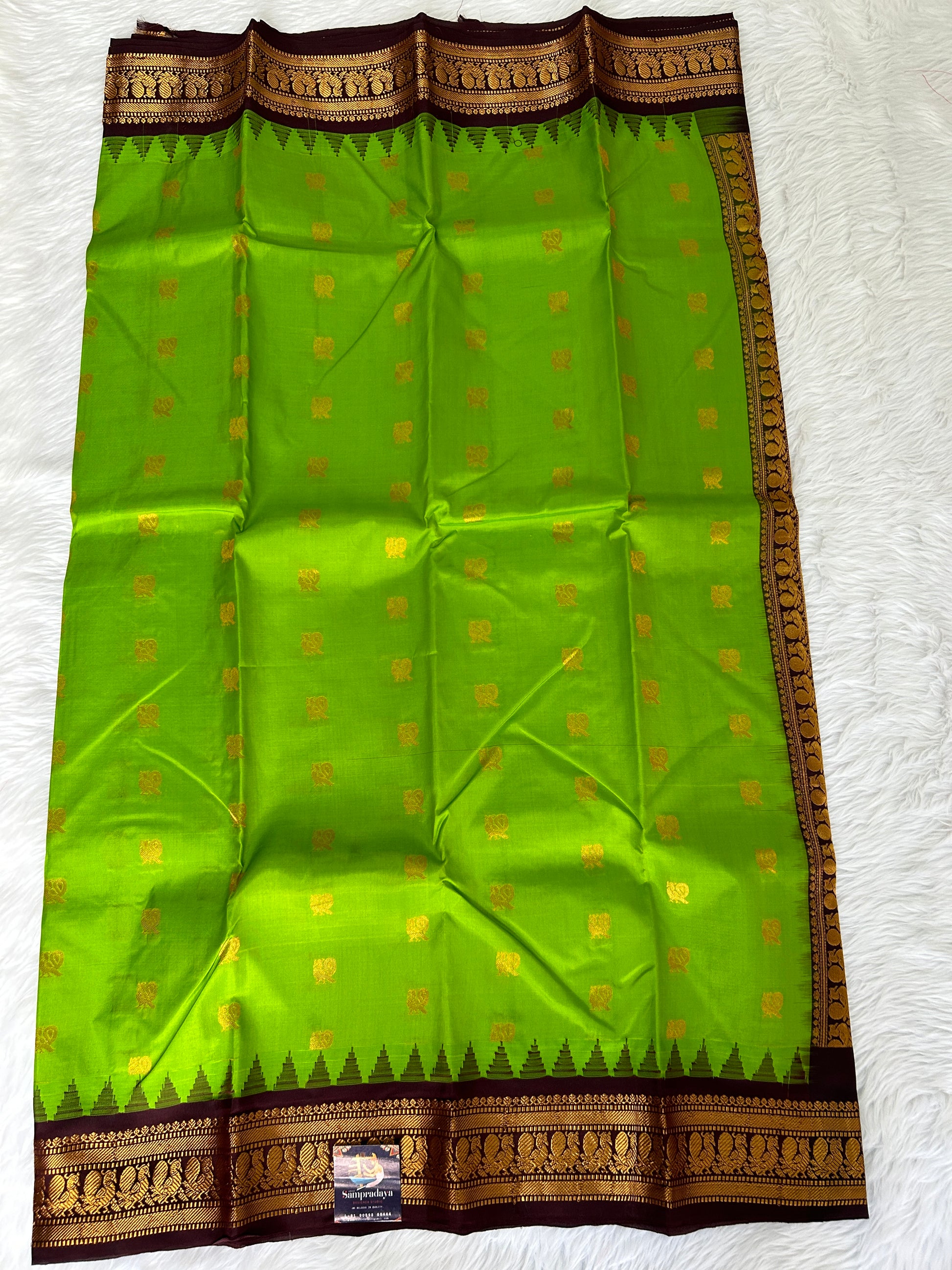 Gadwal Pattu Saree Apple Green colored saree complemented with a Coffee Brown Kanchi border - Sampradaya Designer Studio