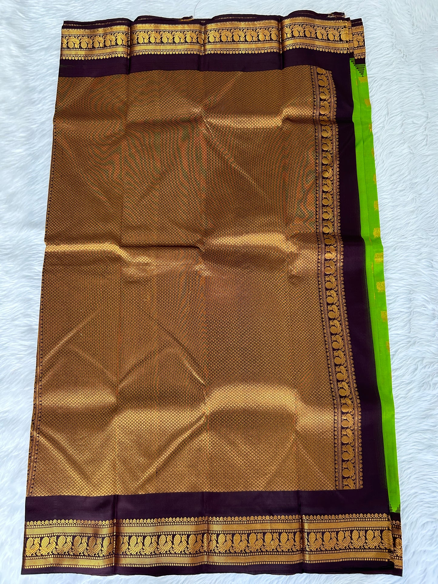 Gadwal Pattu Saree Apple Green colored saree complemented with a Coffee Brown Kanchi border - Sampradaya Designer Studio