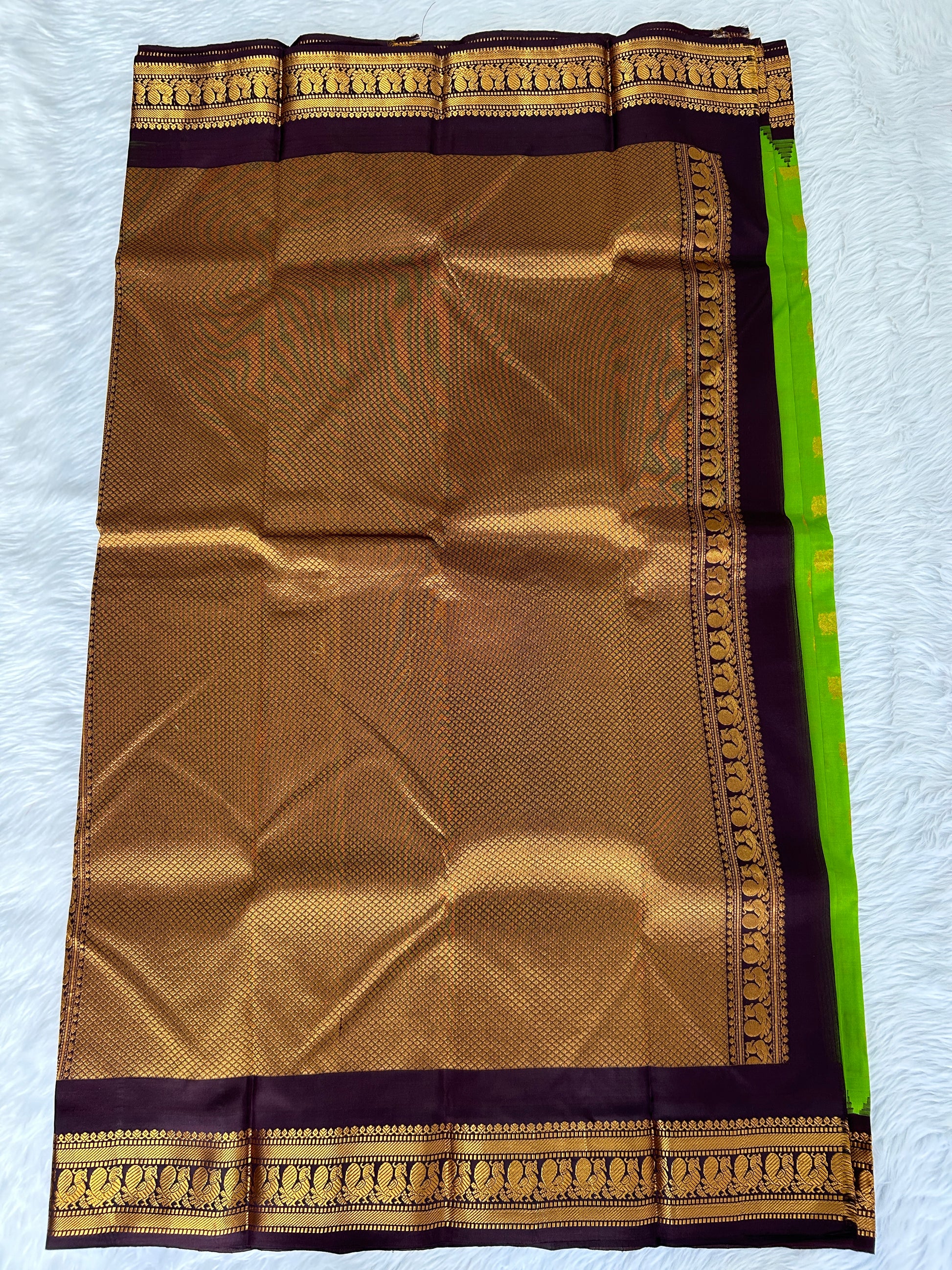 Gadwal Pattu Saree Apple Green colored saree complemented with a Coffee Brown Kanchi border - Sampradaya Designer Studio