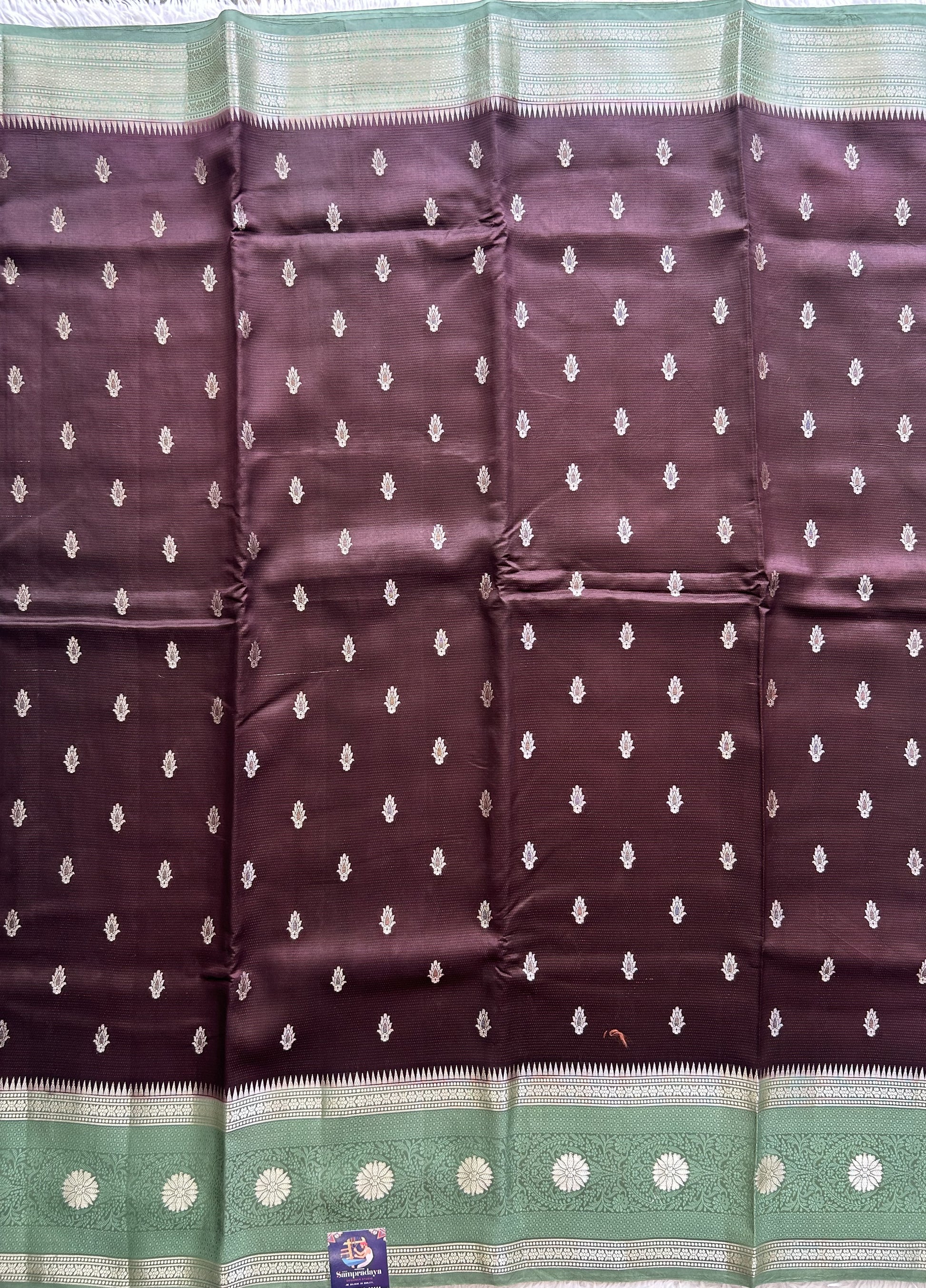 Brown Chiniya Silk Saree with Gold Zari Border - Pure Handloom | Silk Mark Certified - Sampradaya Designer Studio