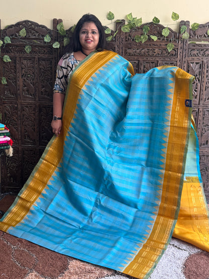 Ice Blue Gadwal Silk Saree with Gold Zari Border — Pure Handloom | Silk Mark Certified