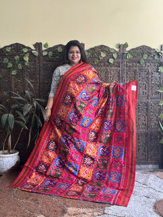 Ikkat Pattu Saree Multi colored complemented with a Red Patolla border. - Sampradaya Designer Studio