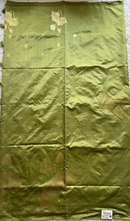 Semi Tussar Saree Cool Green Colored Complemented with a Borderless. - Sampradaya Designer Studio