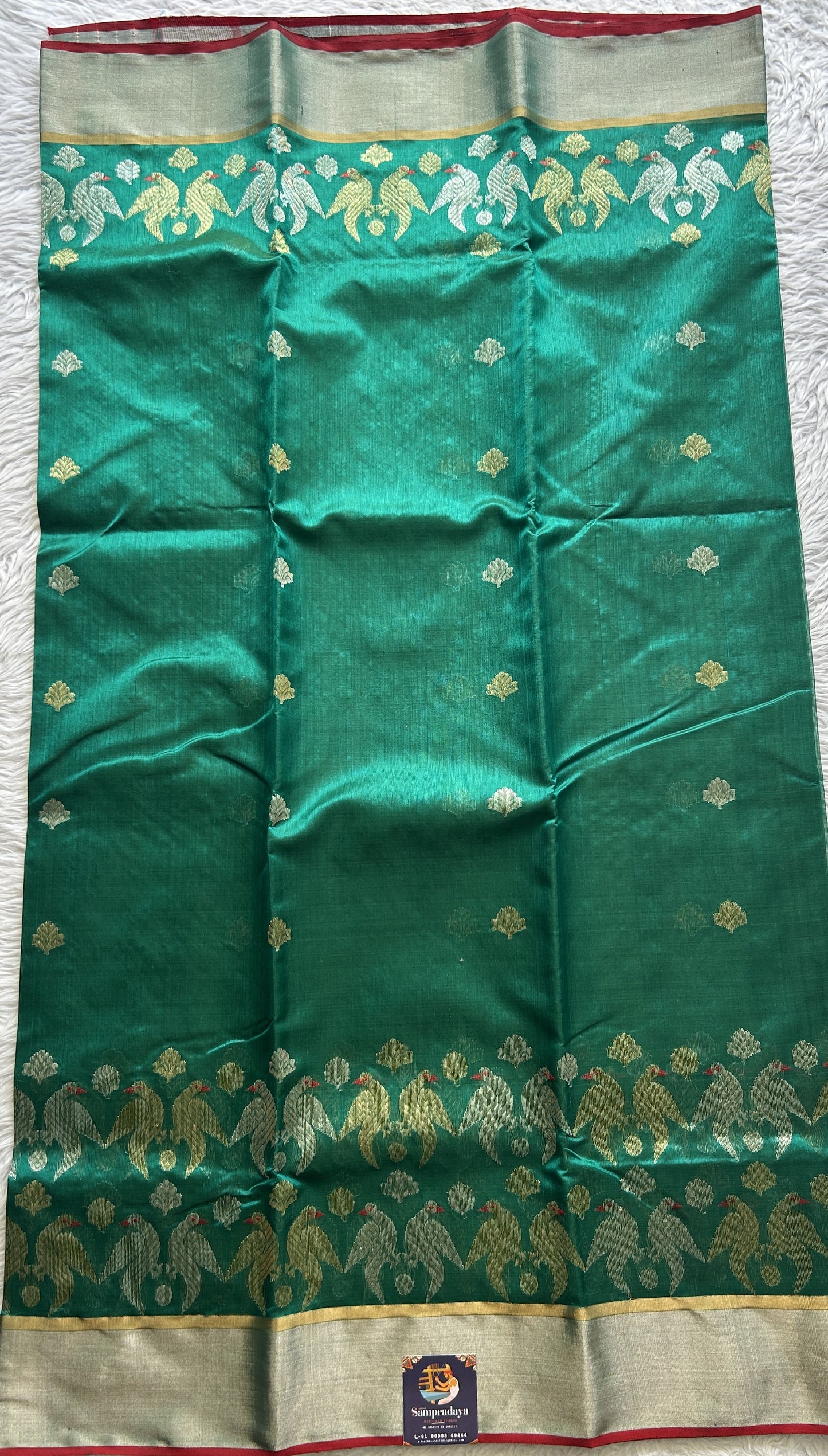 Chanderi Silk Saree Green color complemented with a Zari border - Sampradaya Designer Studio