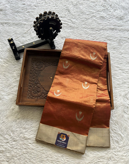 Chanderi Silk Saree Pumpkin Orange color complemented with a Zari border - Sampradaya Designer Studio