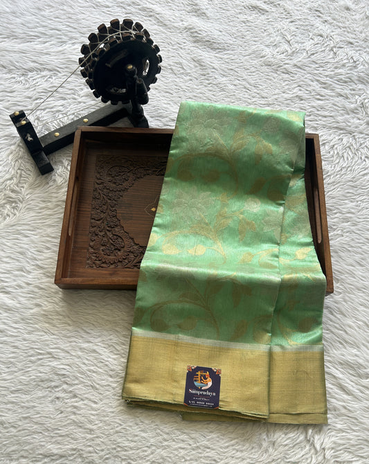 Chanderi Silk Saree Mint Green color complemented with a Zari border - Sampradaya Designer Studio