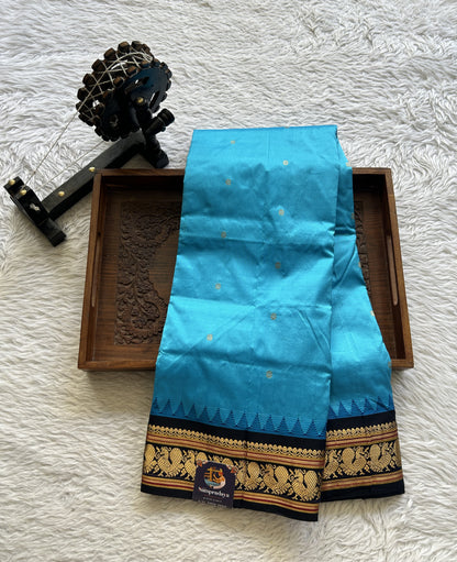 Narayanpet Silk Saree Sky Blue Colored Complemented with a Navy Blue Zari Border. - Sampradaya Designer Studio