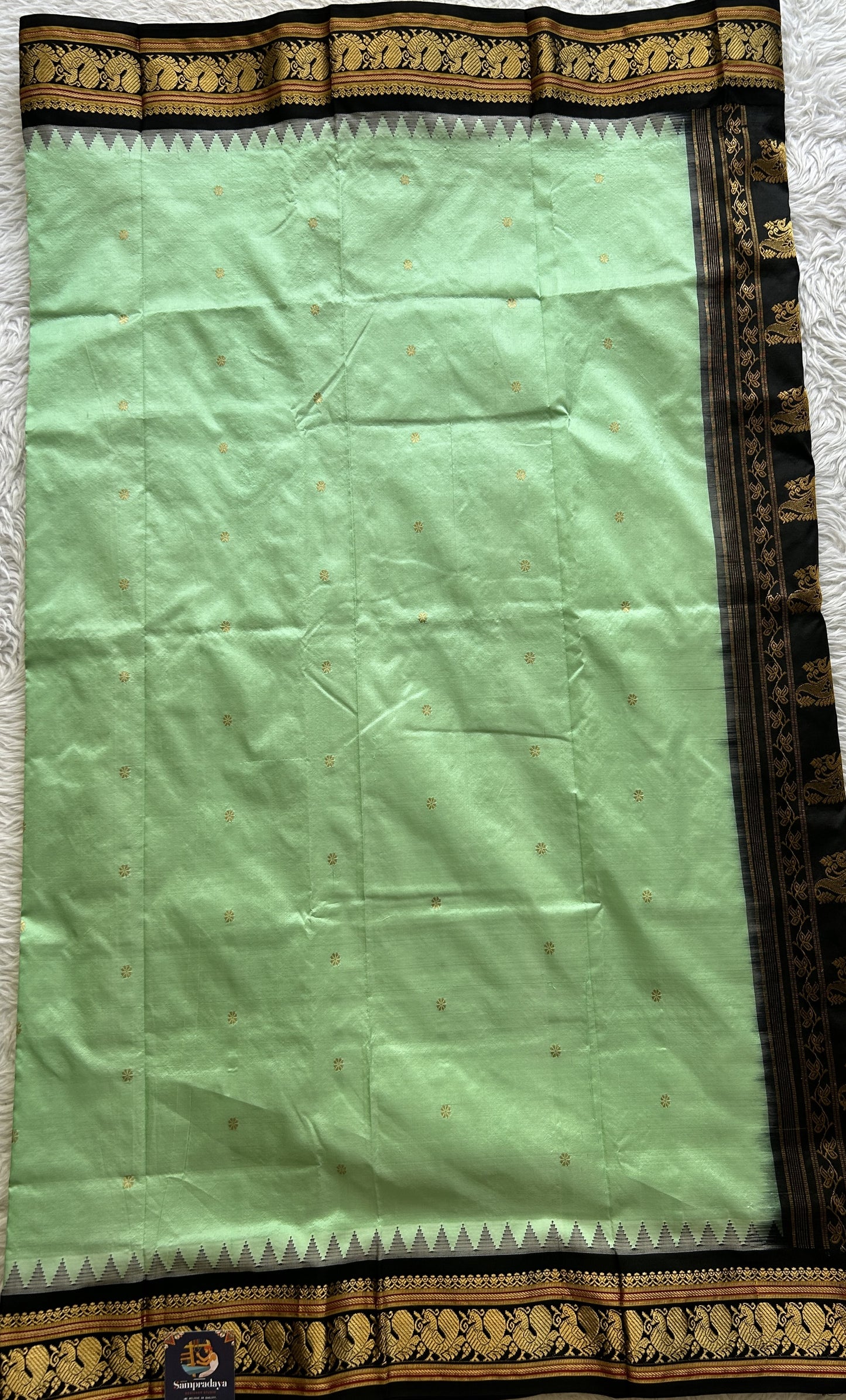 Narayanpet Silk Saree Mint Green Colored Complemented with a Black Zari Border. - Sampradaya Designer Studio