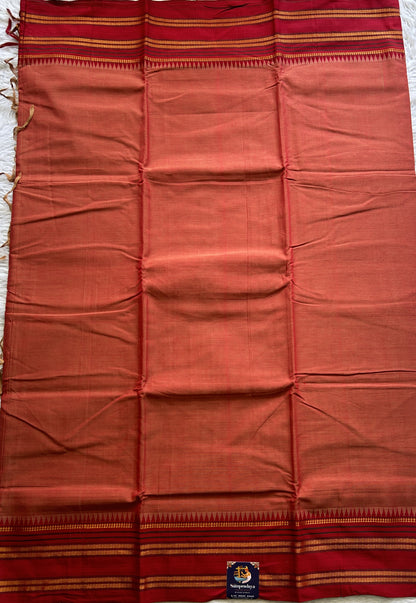 Narayanpet Cotton Saree Rust Colored Complemented with a Thread Border. - Sampradaya Designer Studio
