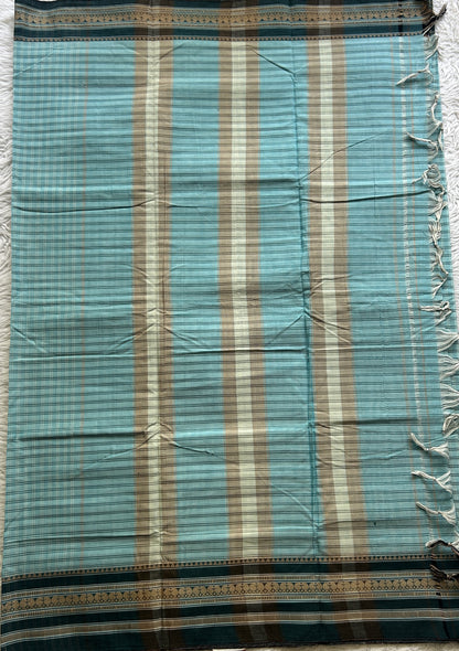 Narayanpet Cotton Checks Saree Sky Blue Colored Complemented with a Thread Gap Border. - Sampradaya Designer Studio