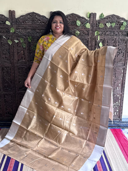 Gold Color Chanderi Silk Saree With Gold Zari Border — Pure Handloom | Silk Mark Certified
