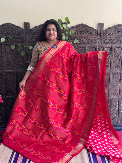 Red Pochampally Ikkat Silk Saree with Zari Border | Pure Handloom, Silk Mark Certified