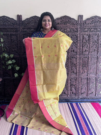 Slime  Color Chanderi Silk Saree With Gold Zari Border — Pure Handloom | Silk Mark Certified