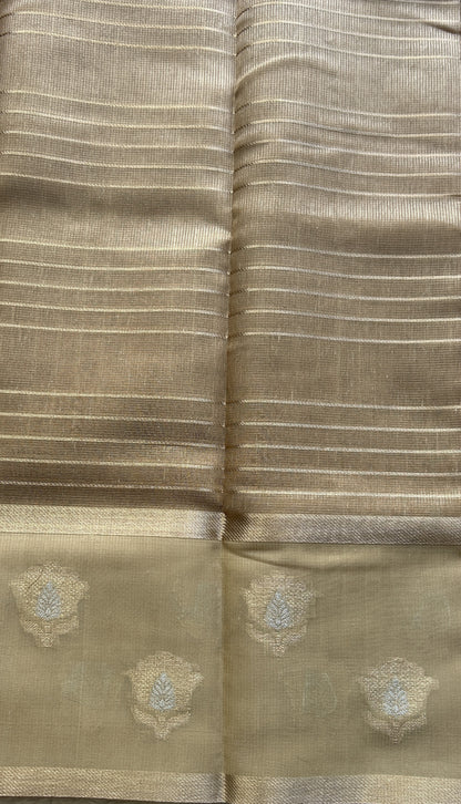 Tissue Silk kota Saree Gold colored Complemented with a Buti Border. - Sampradaya Designer Studio