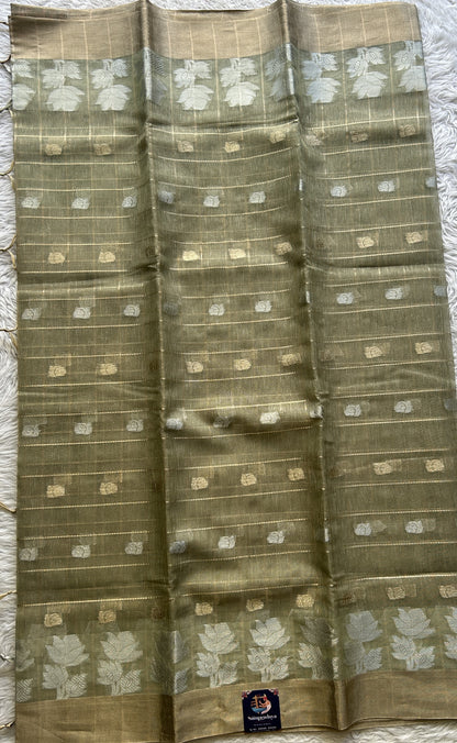 Tissue Silk kota Saree Olive Green colored Complemented with a Buti Border. - Sampradaya Designer Studio