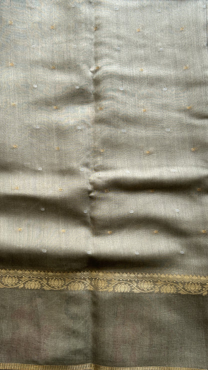 Pure Moonga Tussar Silk Saree Ash Color Complemented with a Digital Print Border. - Sampradaya Designer Studio