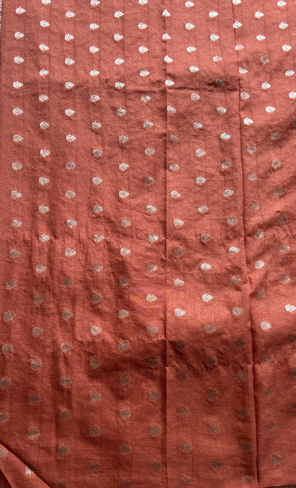 Semi Georgette Saree Rust Colored Elegantly Paired with a Zari Border. - Sampradaya Designer Studio