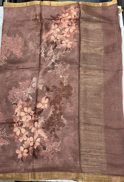 Pure Chiniya Silk Saree Brown Colored Elegantly Paired with a Gold Zari Border.