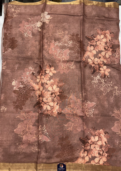 Pure Chiniya Silk Saree Brown Colored Elegantly Paired with a Gold Zari Border.