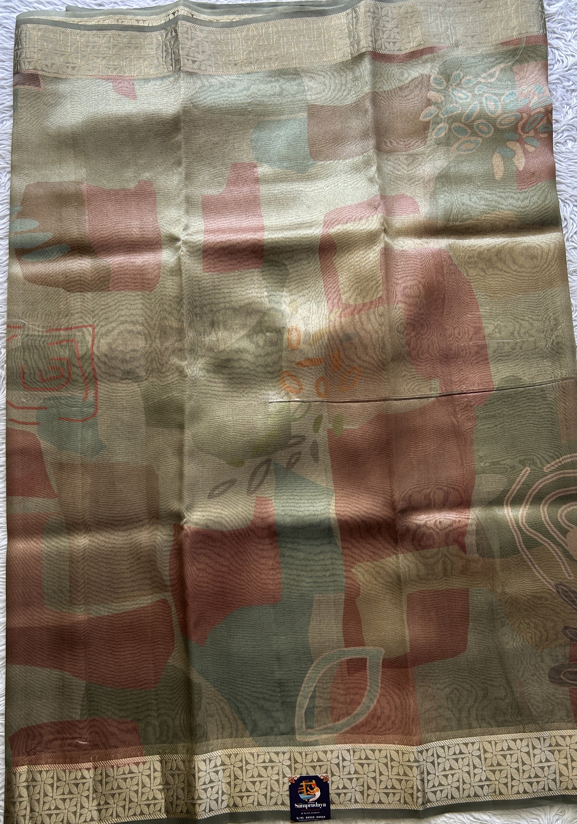 Banarasi Tissue Fancy Saree Light Green Colored Paired with a Zari Border. - Sampradaya Designer Studio