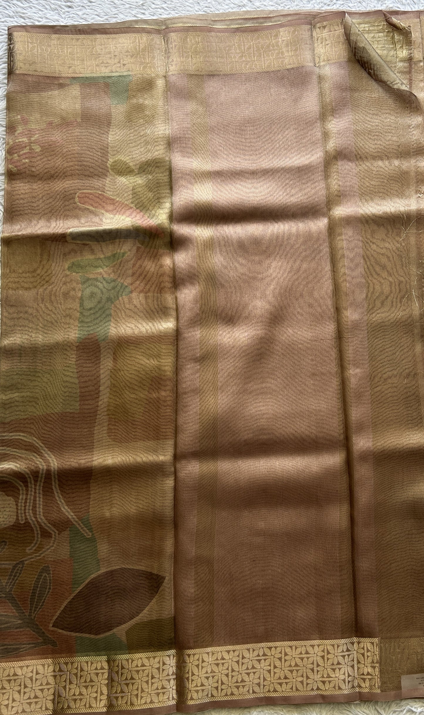 Banarasi Tissue Fancy Saree Sandcastle Colored Complemented with a Zari Border. - Sampradaya Designer Studio