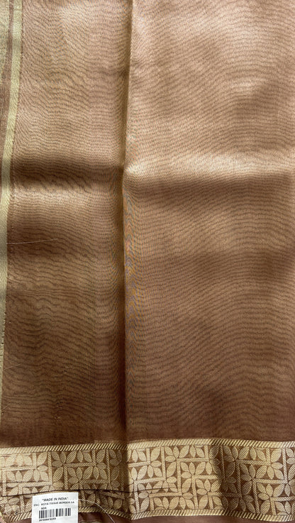 Banarasi Tissue Fancy Saree Sandcastle Colored Complemented with a Zari Border. - Sampradaya Designer Studio
