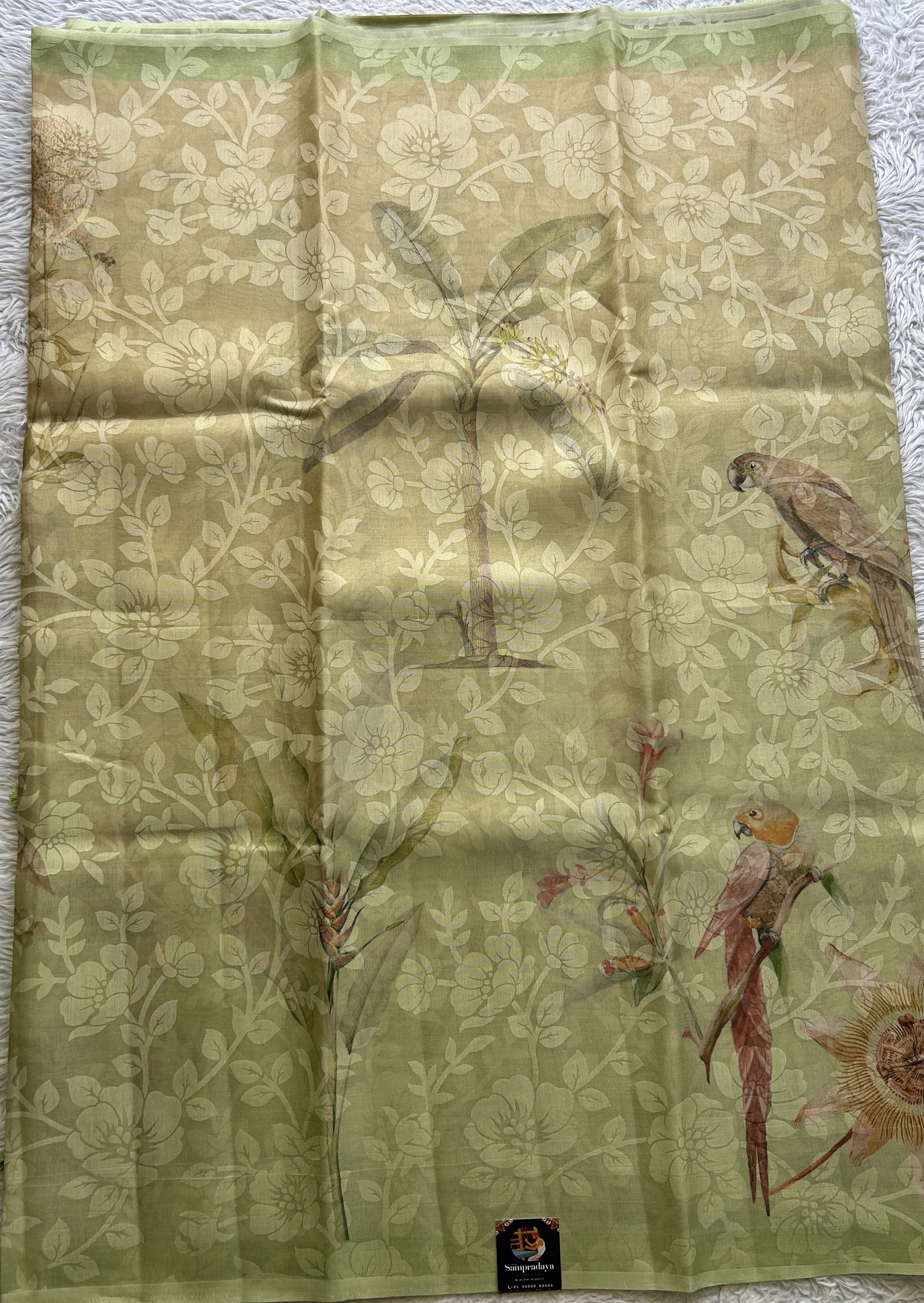 Banarasi Tissue Fancy Saree Light Green Colored Complemented with a Borderless. - Sampradaya Designer Studio