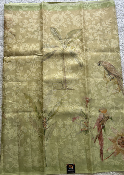 Banarasi Tissue Fancy Saree Light Green Colored Complemented with a Borderless. - Sampradaya Designer Studio