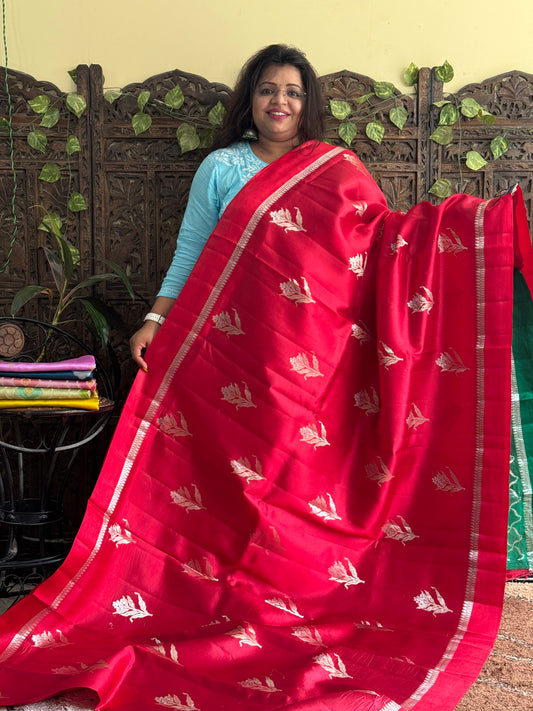 Chiniya Silk Saree Chilly Red Colored Elegantly Paired With a Zari Border - Sampradaya Designer Studio