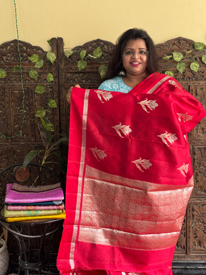 Chiniya Silk Saree Chilly Red Colored Elegantly Paired With a Zari Border - Sampradaya Designer Studio