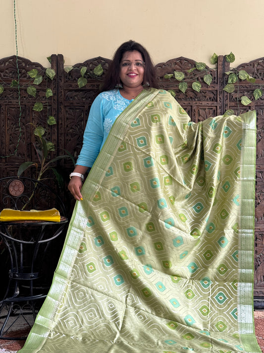 Chiniya Silk Saree Light Green Colored Elegantly Paired With a Zari Border - Sampradaya Designer Studio