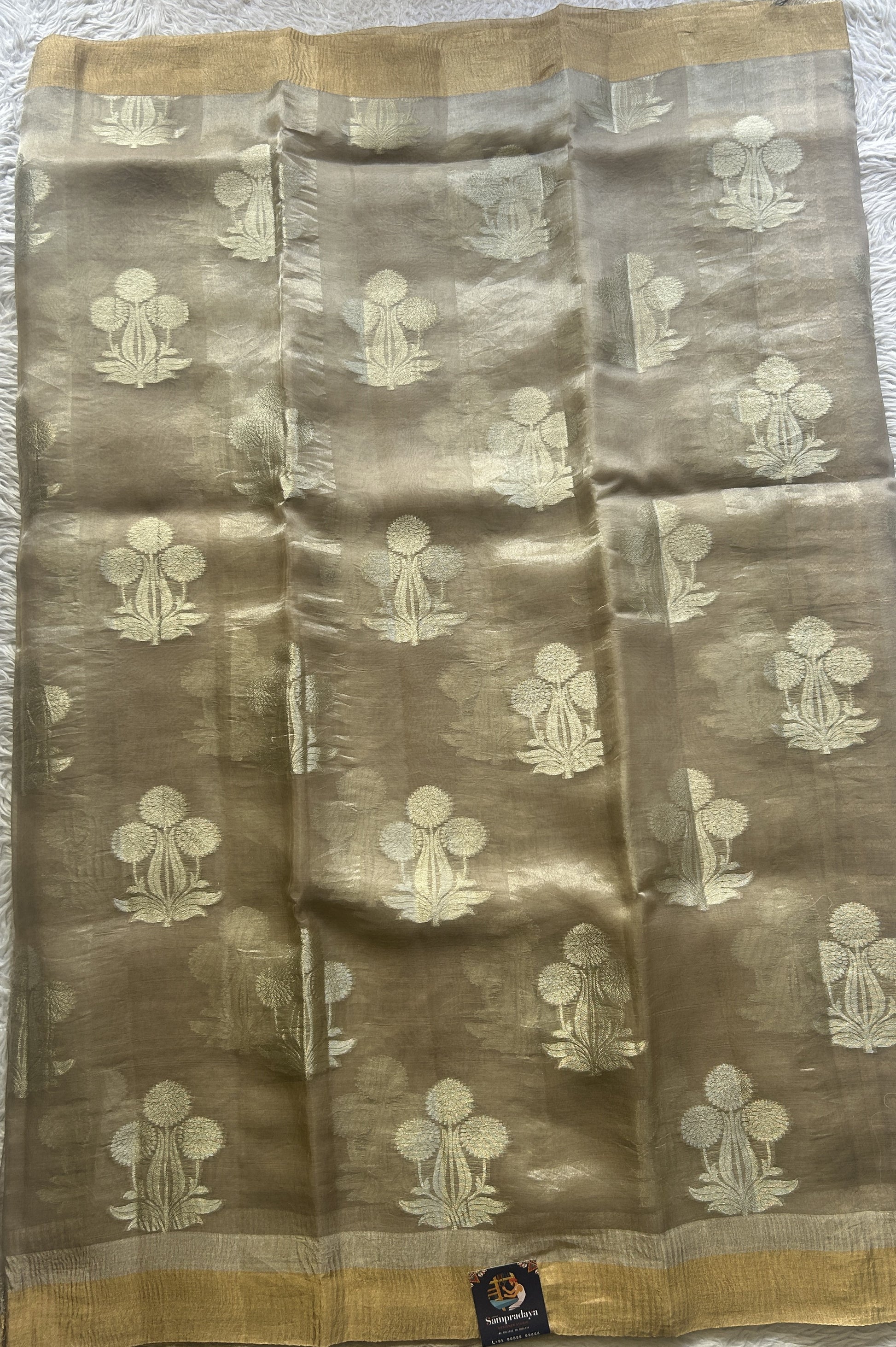 Banarasi Tissue Kora Saree Chickoo Colored Complemented with a Zari Border. - Sampradaya Designer Studio