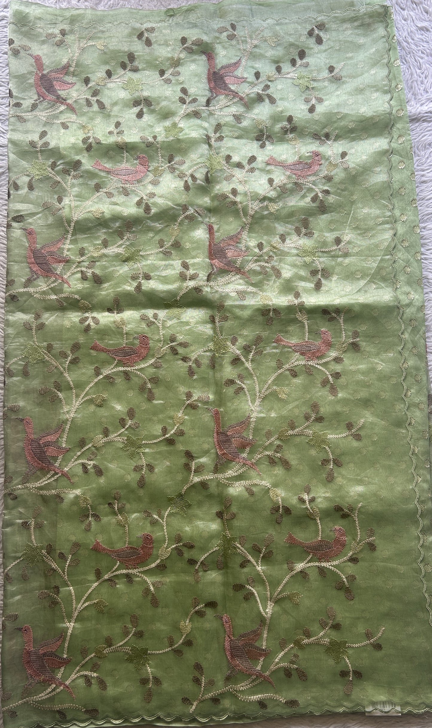 Banarasi Tissue Kora Saree Light Green Colored Complemented with a Scallop Border. - Sampradaya Designer Studio
