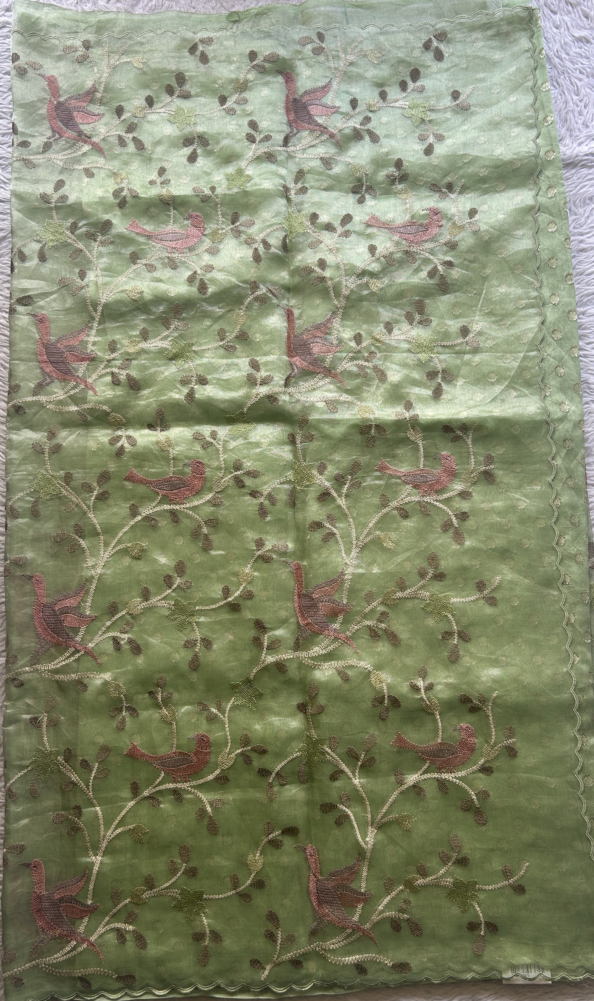 Banarasi Tissue Kora Saree Light Green Colored Complemented with a Scallop Border. - Sampradaya Designer Studio