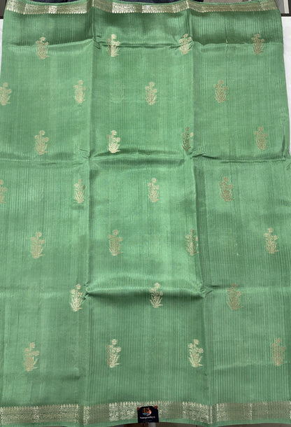 Pure Chiniya Silk Saree Sea Green Colored Elegantly Paired with a Gold Zari Border.