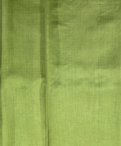 Pure Chiniya Silk Saree Apple Green Colored Elegantly Paired with a Gold Zari Border.