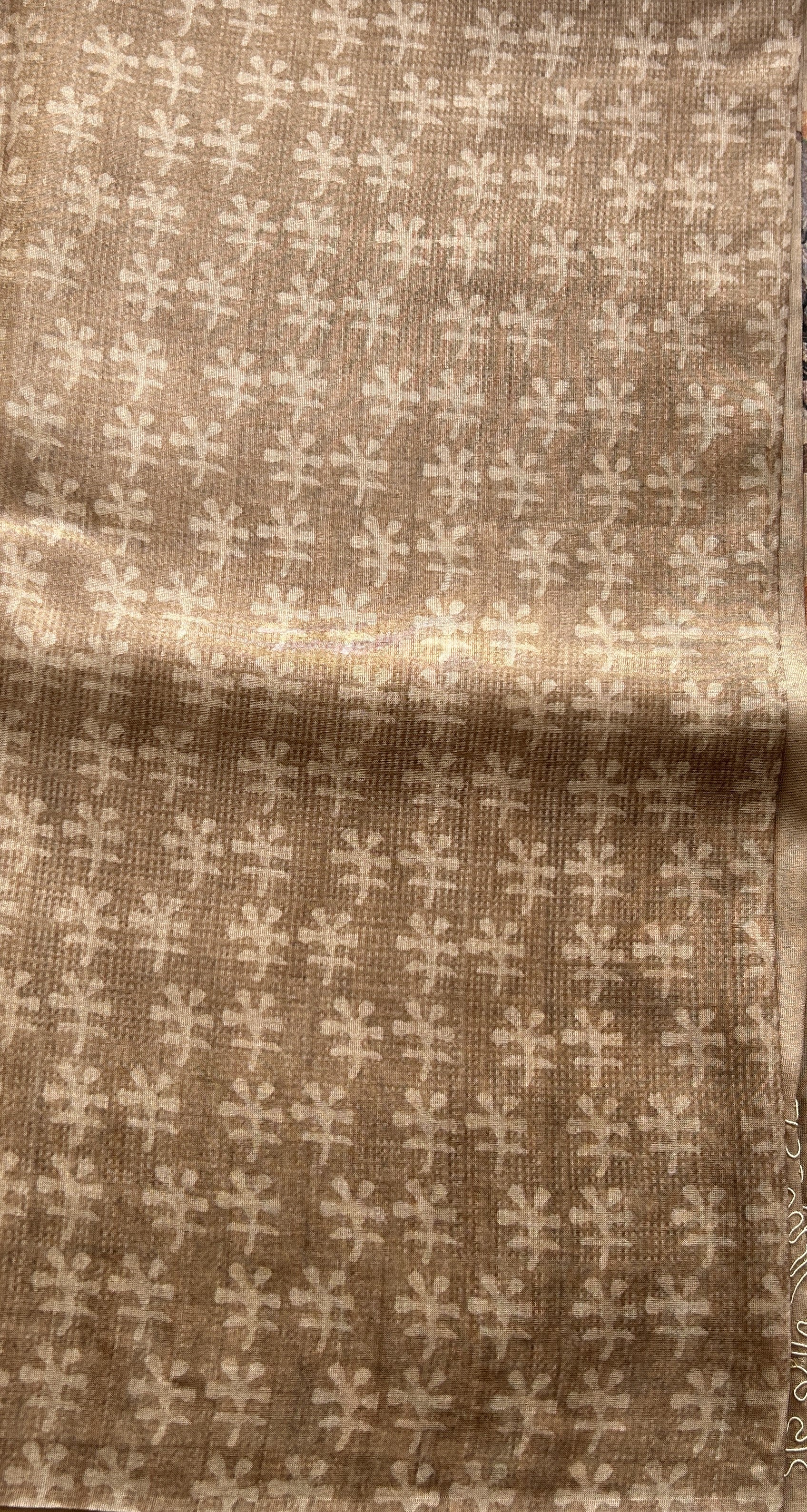 Semi Tussar Saree Light Brown Colored complemented with a Embroidered Border. - Sampradaya Designer Studio