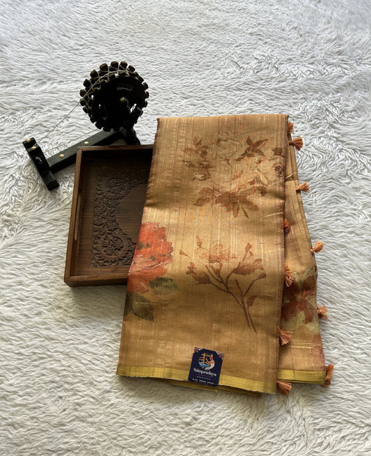 Semi Tussar Saree Orange Colored complemented with a Borderless. - Sampradaya Designer Studio