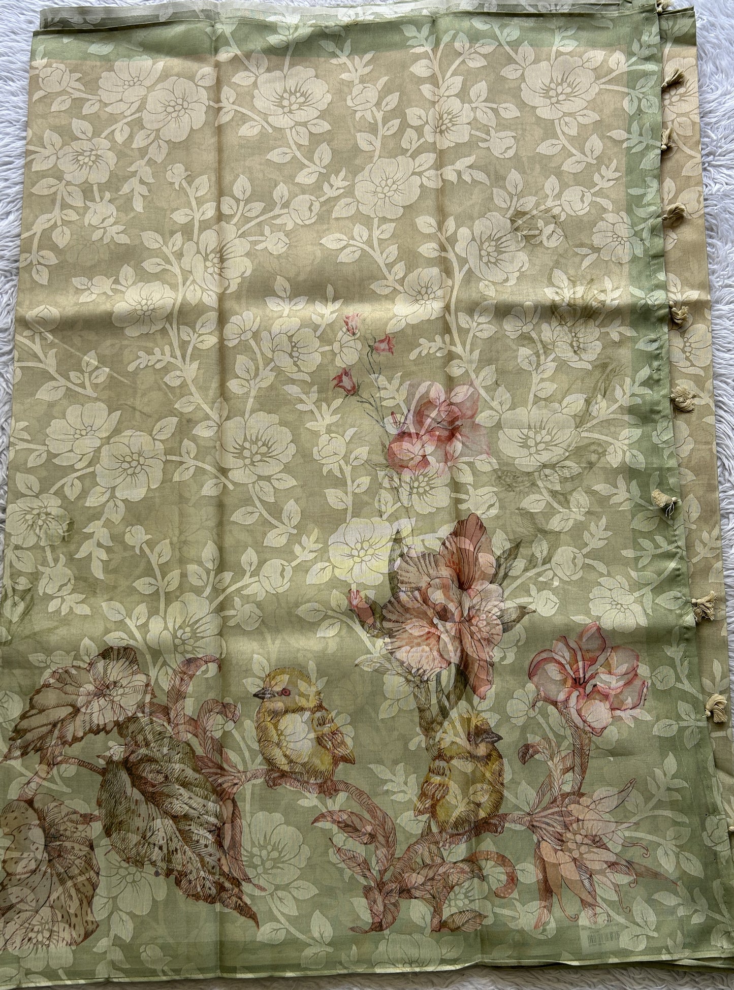 Semi Tussar Tissue Saree Very Light Green Colored complemented with a Borderless. - Sampradaya Designer Studio