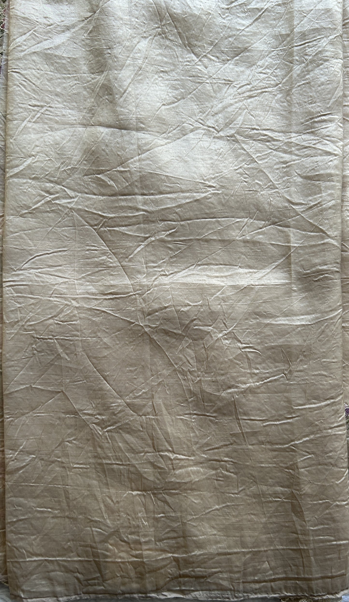 Inox Silk Saree Cream Colored Elegantly Paired with a Machine Embroidery Border. - Sampradaya Designer Studio