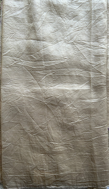 Inox Silk Saree Cream Colored Elegantly Paired with a Machine Embroidery Border. - Sampradaya Designer Studio