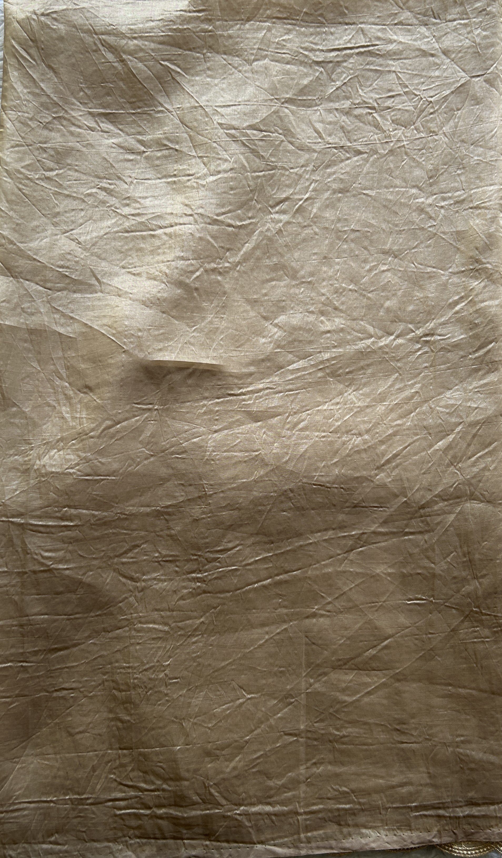 Inox Silk Saree Beige Colored Elegantly Paired with a Machine Embroidery Border. - Sampradaya Designer Studio