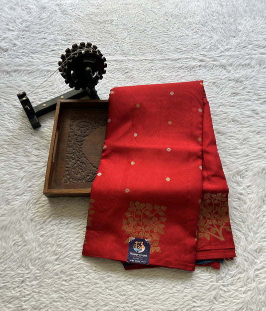 Mona Silk Saree Red Colored Complemented with a Buti Border. - Sampradaya Designer Studio