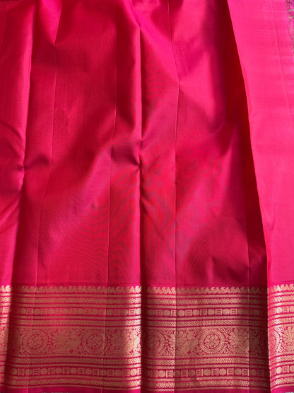 Pure Kanjivaram Silk Saree |Sky Blue With Gold Zari Border | Handloom | Silk Mark Certified