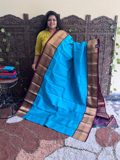 Pure Kanjivaram Silk Saree |  Blue With Gold Zari Border | Handloom | Silk Mark Certified