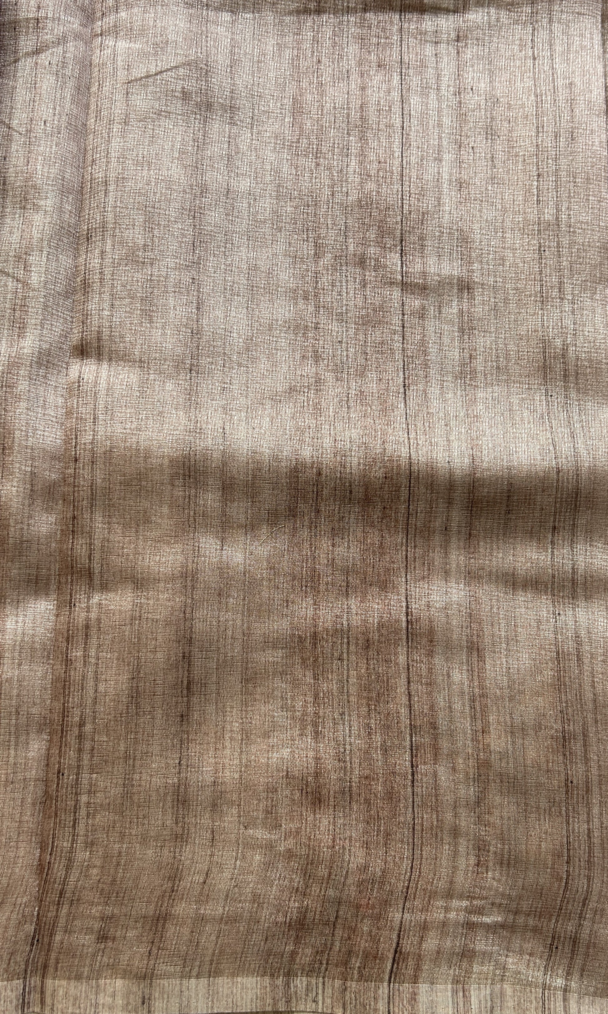 Semi Tussar Saree Light Brown Colored Elegantly Paired with a Borderless. - Sampradaya Designer Studio