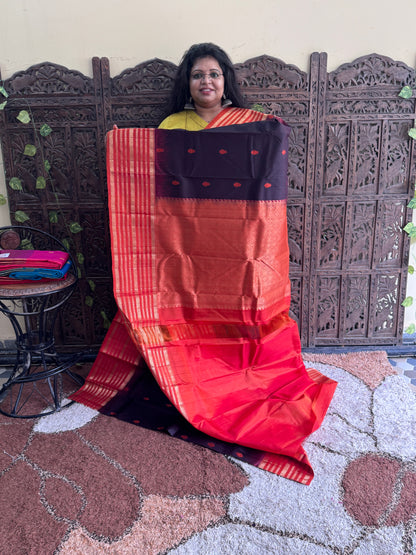 Pure Kanjivaram Silk Saree | Brown With Gold Zari Border | Handloom | Silk Mark Certified
