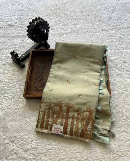 Tissue Organza Designer Saree Sage colored Saree Paired with a Thread border. - Sampradaya Designer Studio